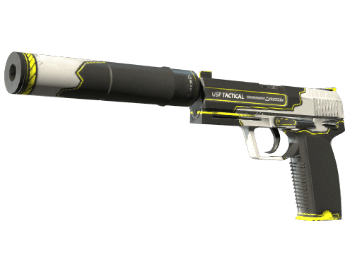 USP-S | Torque (Battle-Scarred)