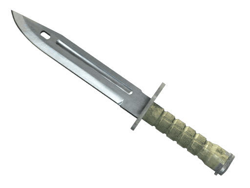 Bayonet