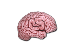 Sticker | CS On The Mind