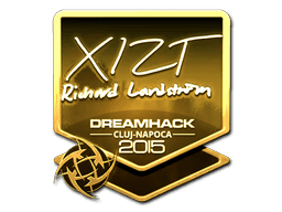 Sticker | Xizt (Gold) | Cluj-Napoca 2015