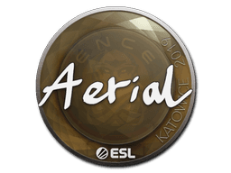 Sticker | Aerial | Katowice 2019
