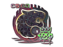 Sticker | FURIA (Holo) | 2020 RMR