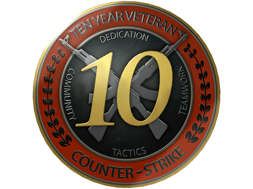 10 Year Veteran Coin