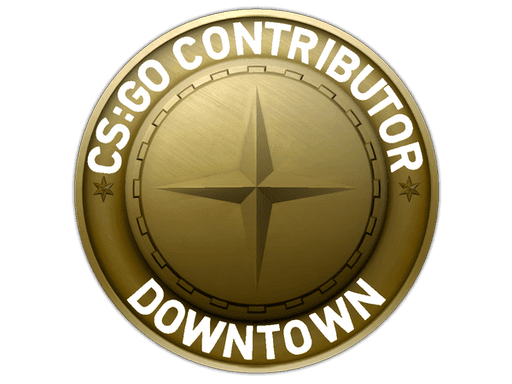 Downtown Map Coin