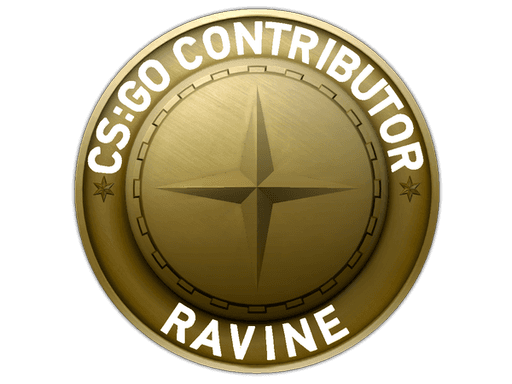Ravine Map Coin