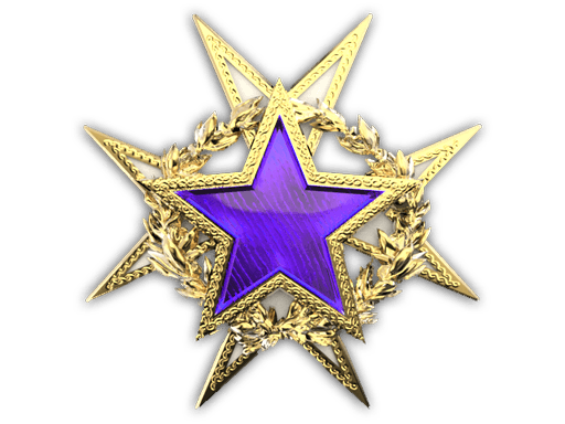 2015 Service Medal