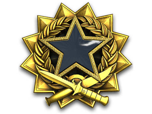 2017 Service Medal