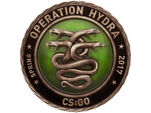 Operation Hydra Challenge Coin
