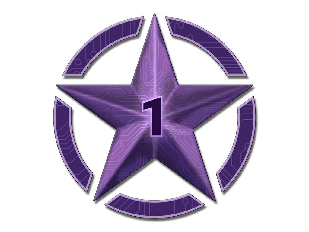 1 Star for Operation Shattered Web