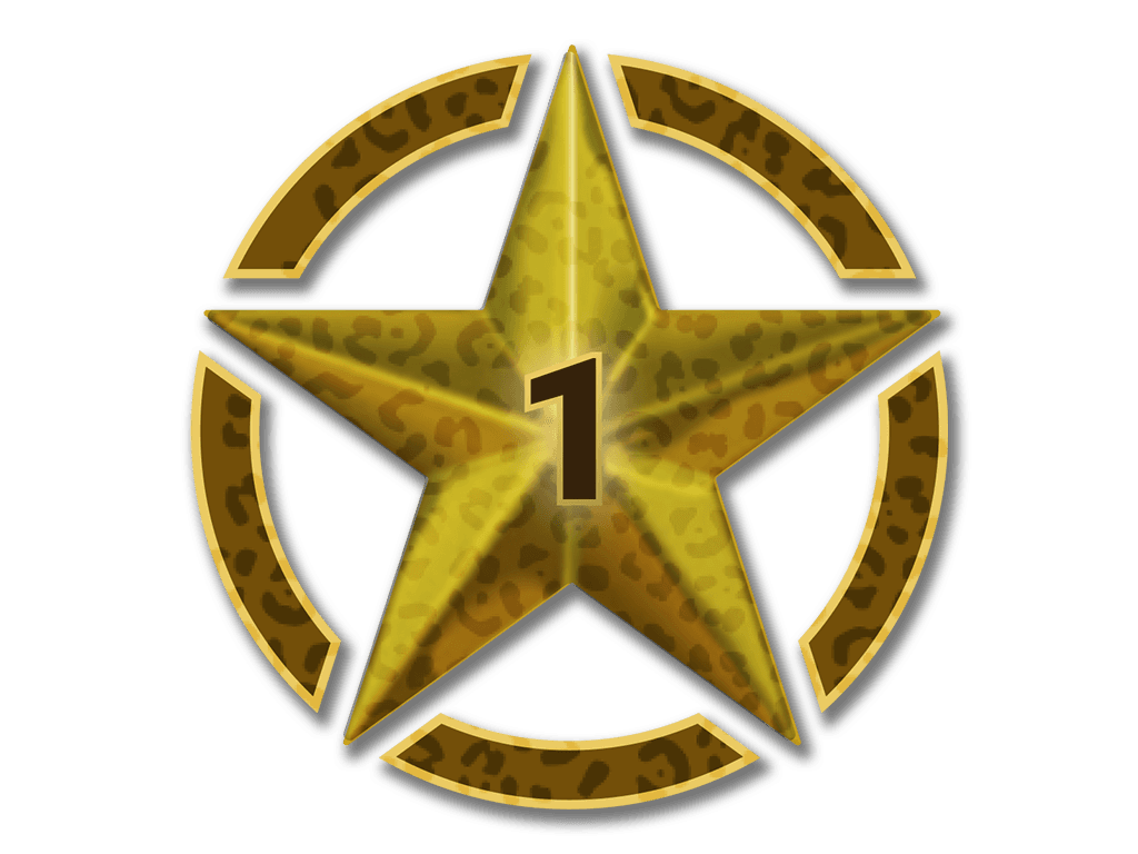 1 Star for Operation Broken Fang