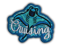 Patch | Cruising Ray