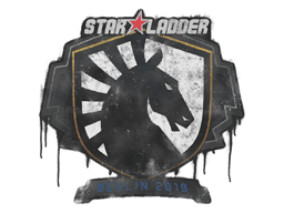 Sealed Graffiti | Team Liquid | Berlin 2019