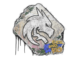 Sealed Graffiti | Team Spirit | Rio 2022