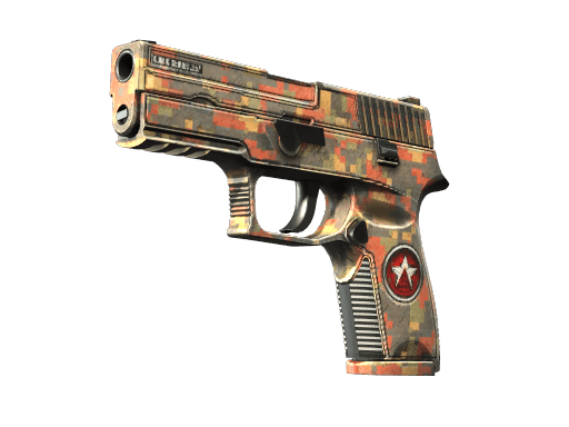P250 | Red Rock