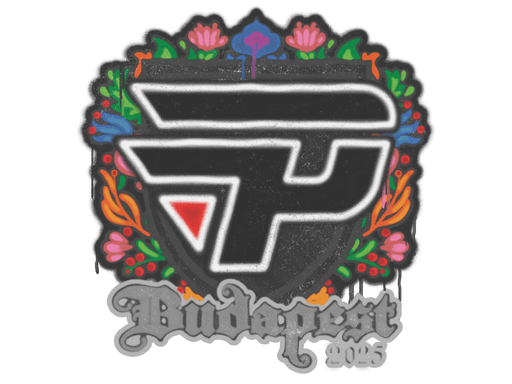 Sealed Graffiti | paiN Gaming | Budapest 2025