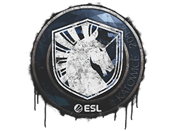 Sealed Graffiti | Team Liquid | Katowice 2019