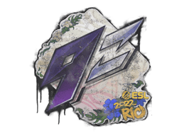 Sealed Graffiti | 9z Team | Rio 2022