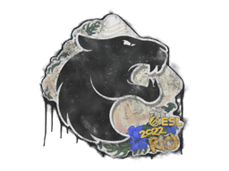 Sealed Graffiti | FURIA | Rio 2022