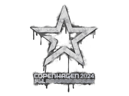 Sealed Graffiti | Complexity Gaming | Copenhagen 2024