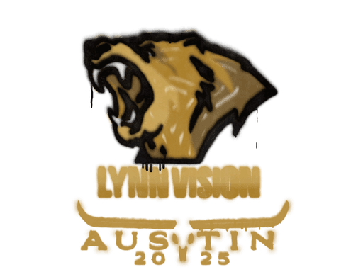 Sealed Graffiti | Lynn Vision | Austin 2025