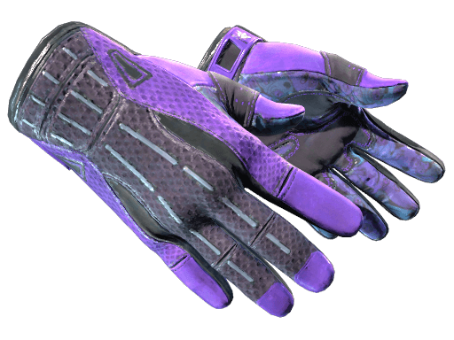 Sport Gloves | Pandora's Box