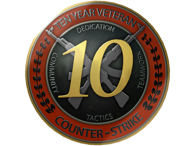 10 Year Veteran Coin