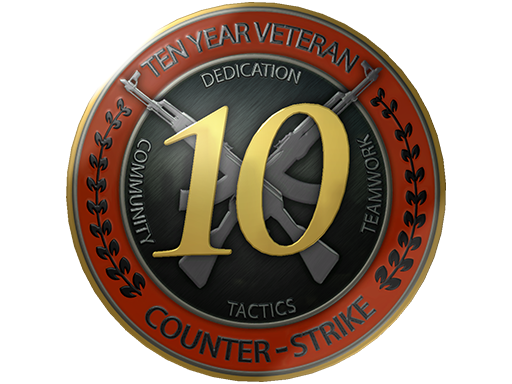 10 Year Veteran Coin