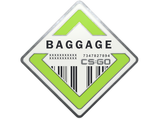 Baggage Pin