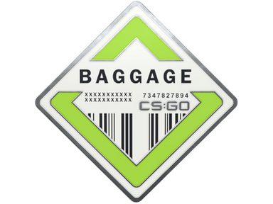 Baggage Pin