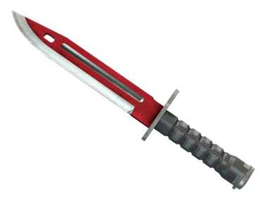 Bayonet | Autotronic