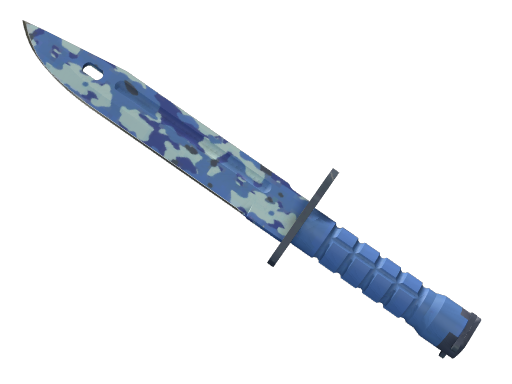 ★ Bayonet | Bright Water (Battle-Scarred)