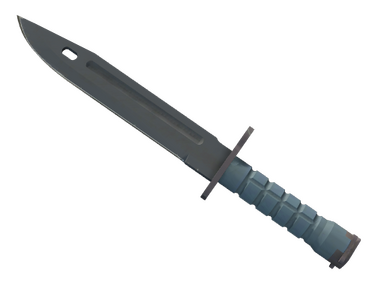 Bayonet | Night