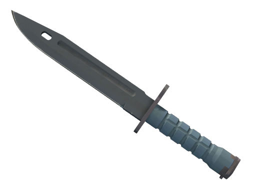 ★ Bayonet | Night (Battle-Scarred)
