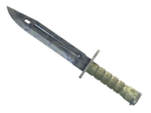 ★ Bayonet | Stained (Battle-Scarred)