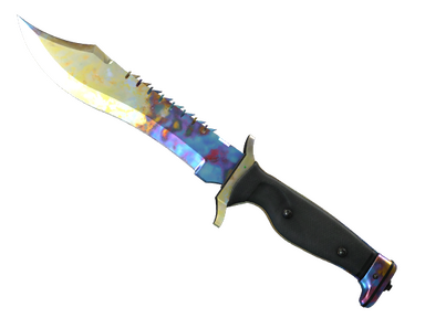 Bowie Knife | Case Hardened