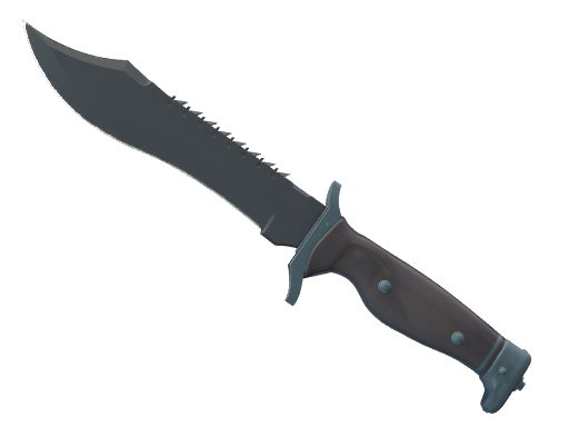 ★ Bowie Knife | Night (Battle-Scarred)