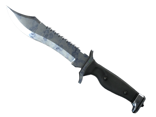 ★ Bowie Knife | Stained (Factory New)