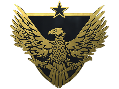 Brigadier General Pin