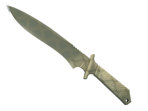 ★ Classic Knife | Safari Mesh (Factory New)