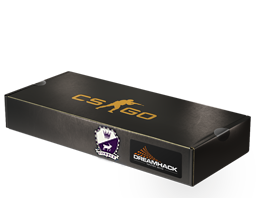 DreamHack 2014 Cobblestone Souvenir Package