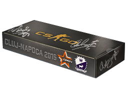 DreamHack Cluj-Napoca 2015 Cobblestone Souvenir Package