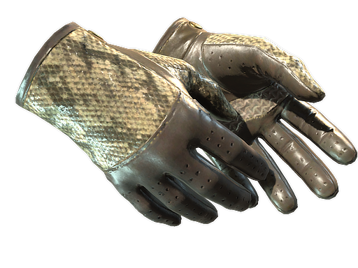 ★ Driver Gloves | Diamondback (Battle-Scarred)
