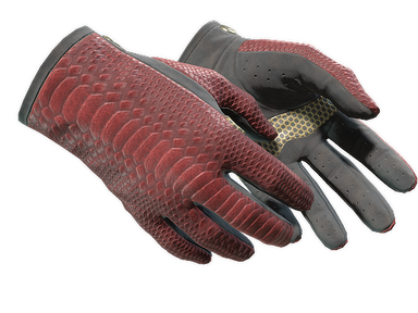 Driver Gloves | Dragon Fists