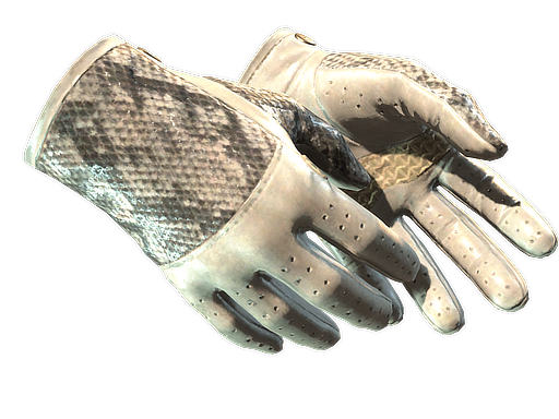 ★ Driver Gloves | King Snake (Battle-Scarred)