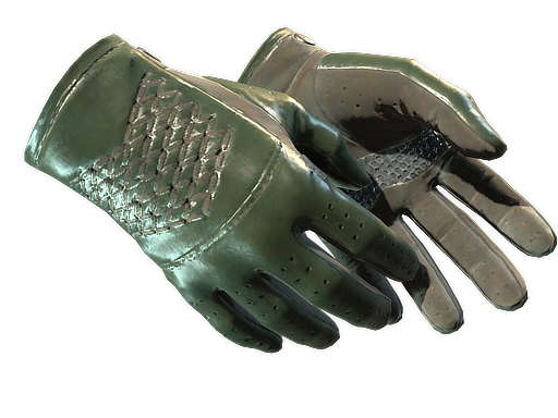 ★ Driver Gloves | Racing Green (Battle-Scarred)