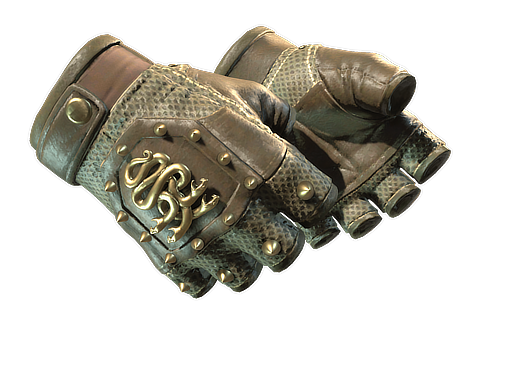 ★ Hydra Gloves | Mangrove (Battle-Scarred)