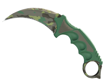 Karambit | Boreal Forest