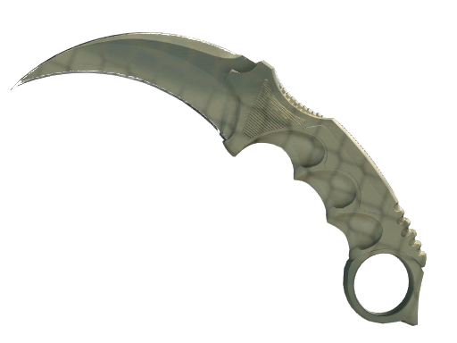 ★ Karambit | Safari Mesh (Battle-Scarred)
