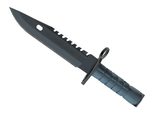★ M9 Bayonet | Night (Battle-Scarred)