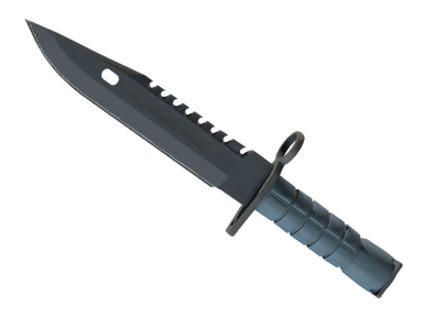 M9 Bayonet | Night